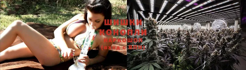 где можно купить   Белоозёрский  МАРИХУАНА LSD WEED 